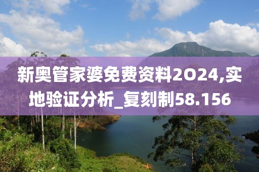 新奥管家婆免费资料2O24,实地验证分析_复刻制58.156