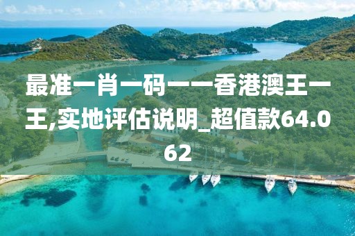 最准一肖一码一一香港澳王一王,实地评估说明_超值款64.062