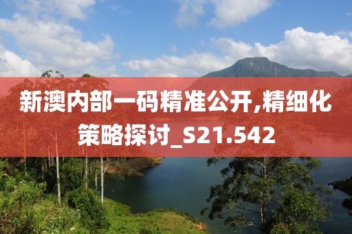 新澳内部一码精准公开,精细化策略探讨_S21.542