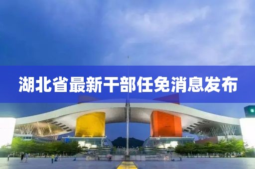 湖北省最新干部任免消息发布