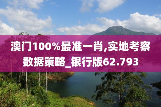 澳门100%最准一肖,实地考察数据策略_银行版62.793