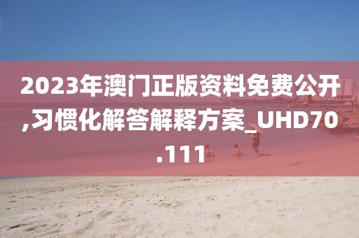 2023年澳门正版资料免费公开,习惯化解答解释方案_UHD70.111