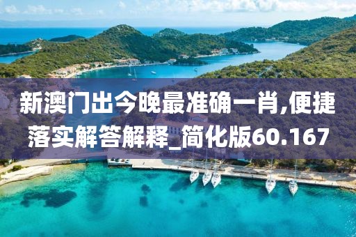 新澳门出今晚最准确一肖,便捷落实解答解释_简化版60.167