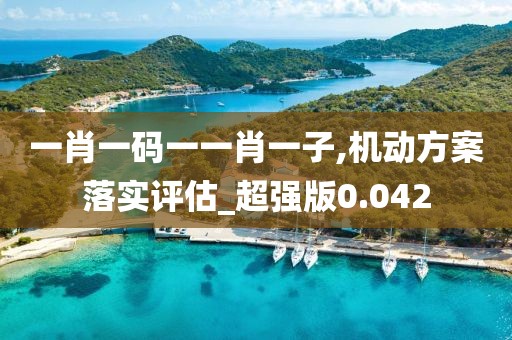 一肖一码一一肖一子,机动方案落实评估_超强版0.042