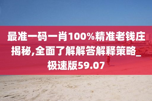 最准一码一肖100%精准老钱庄揭秘,全面了解解答解释策略_极速版59.07
