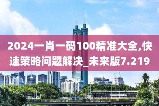 2024一肖一码100精准大全,快速策略问题解决_未来版7.219