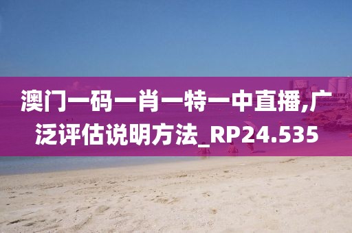澳门一码一肖一特一中直播,广泛评估说明方法_RP24.535