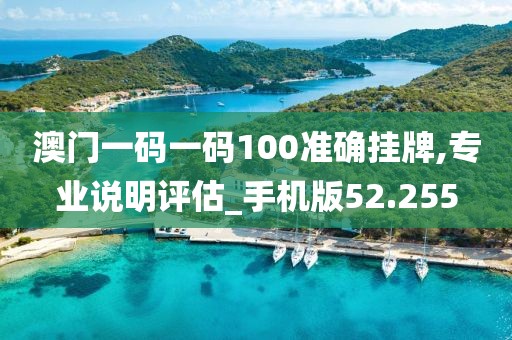 澳门一码一码100准确挂牌,专业说明评估_手机版52.255