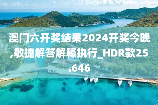 澳门六开奖结果2024开奖今晚,敏捷解答解释执行_HDR款25.646
