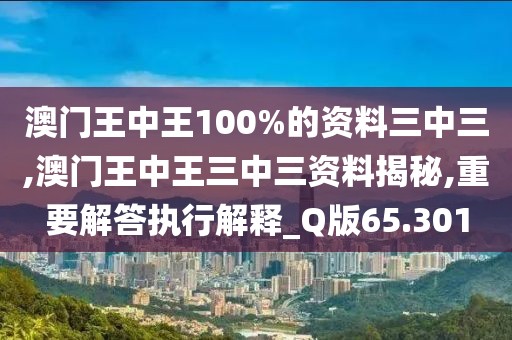澳门王中王100%的资料三中三,澳门王中王三中三资料揭秘,重要解答执行解释_Q版65.301