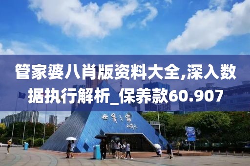 管家婆八肖版资料大全,深入数据执行解析_保养款60.907