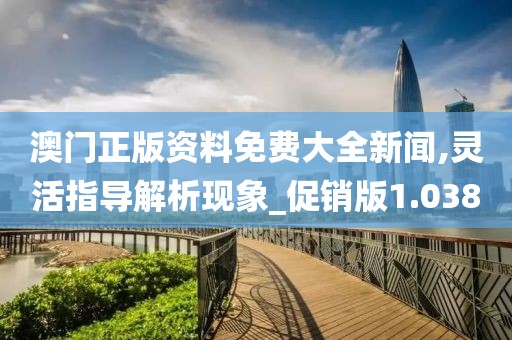 澳门正版资料免费大全新闻,灵活指导解析现象_促销版1.038