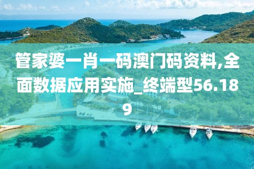 管家婆一肖一码澳门码资料,全面数据应用实施_终端型56.189