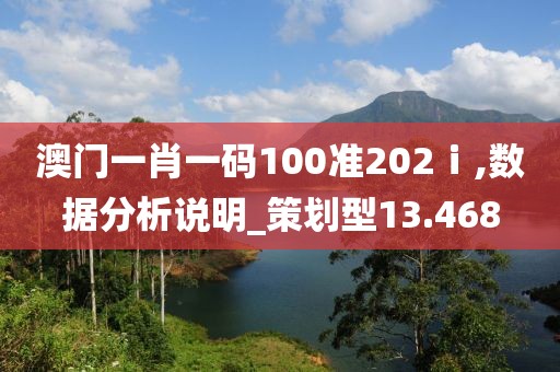 澳门一肖一码100准202ⅰ,数据分析说明_策划型13.468