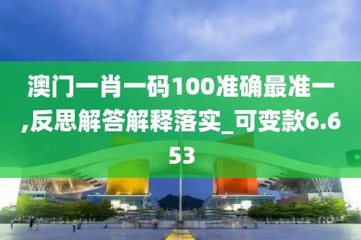 澳门一肖一码100准确最准一,反思解答解释落实_可变款6.653