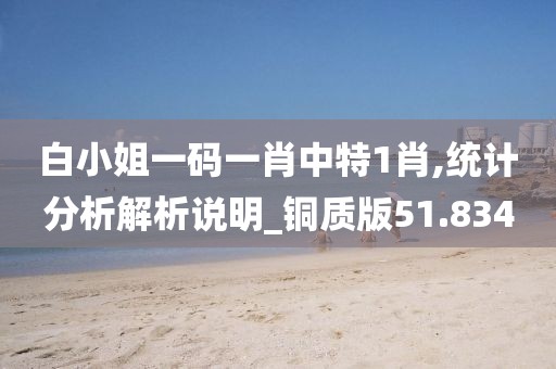 白小姐一码一肖中特1肖,统计分析解析说明_铜质版51.834