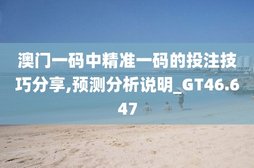 澳门一码中精准一码的投注技巧分享,预测分析说明_GT46.647