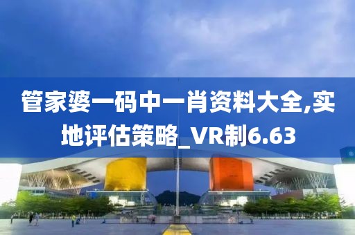 管家婆一码中一肖资料大全,实地评估策略_VR制6.63
