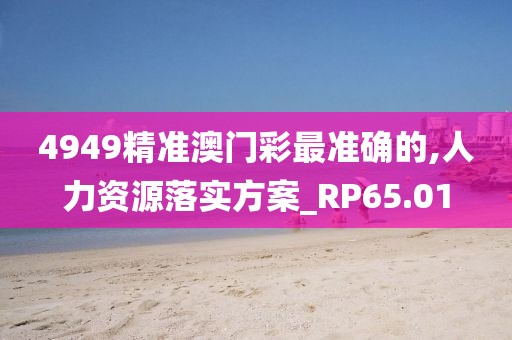 4949精准澳门彩最准确的,人力资源落实方案_RP65.01