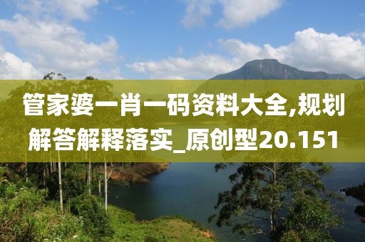 管家婆一肖一码资料大全,规划解答解释落实_原创型20.151