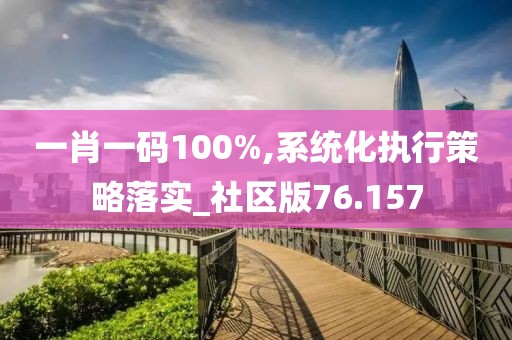 一肖一码100%,系统化执行策略落实_社区版76.157