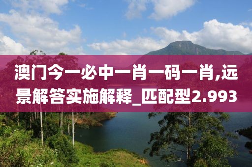 澳门今一必中一肖一码一肖,远景解答实施解释_匹配型2.993