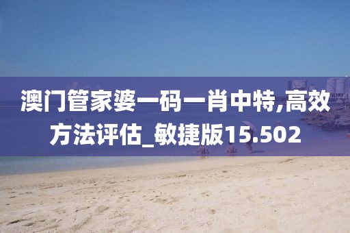 澳门管家婆一码一肖中特,高效方法评估_敏捷版15.502
