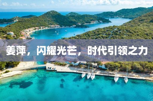 姜萍，闪耀光芒，时代引领之力