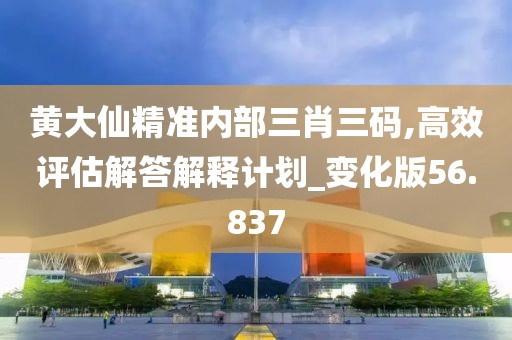 黄大仙精准内部三肖三码,高效评估解答解释计划_变化版56.837