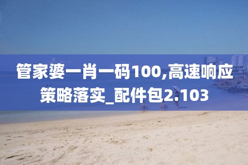 管家婆一肖一码100,高速响应策略落实_配件包2.103