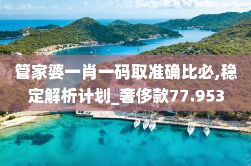 管家婆一肖一码取准确比必,稳定解析计划_奢侈款77.953