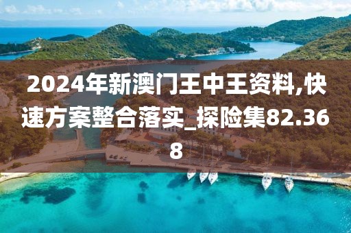 2024年新澳门王中王资料,快速方案整合落实_探险集82.368
