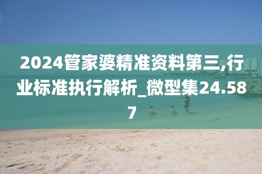 2024管家婆精准资料第三,行业标准执行解析_微型集24.587