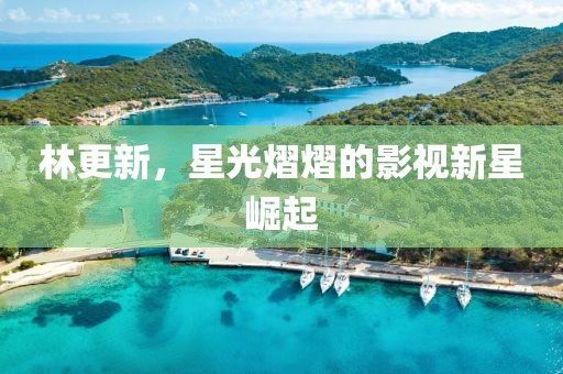 林更新，星光熠熠的影视新星崛起