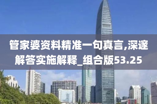 管家婆资料精准一句真言,深邃解答实施解释_组合版53.25