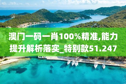 澳门一码一肖100%精准,能力提升解析落实_特别款51.247