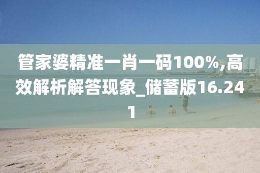管家婆精准一肖一码100%,高效解析解答现象_储蓄版16.241