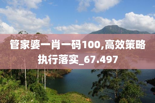 管家婆一肖一码100,高效策略执行落实_67.497