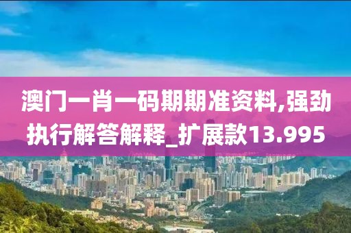 澳门一肖一码期期准资料,强劲执行解答解释_扩展款13.995