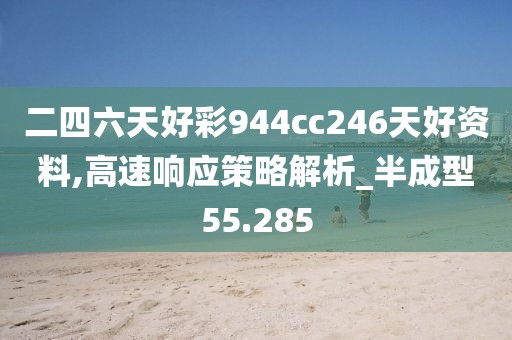 二四六天好彩944cc246天好资料,高速响应策略解析_半成型55.285