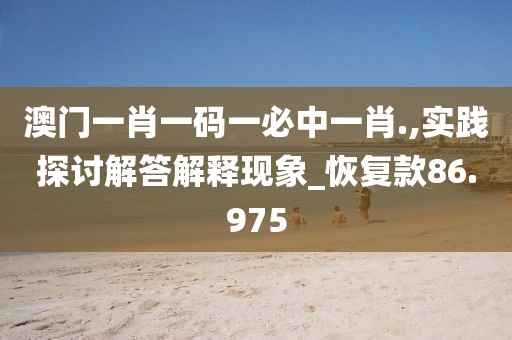 澳门一肖一码一必中一肖.,实践探讨解答解释现象_恢复款86.975