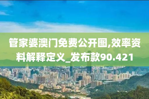 管家婆澳门免费公开图,效率资料解释定义_发布款90.421