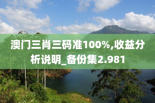 澳门三肖三码准100%,收益分析说明_备份集2.981