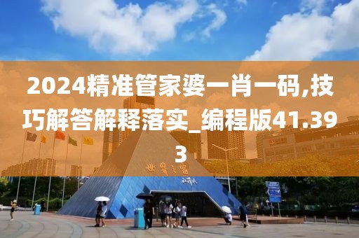 2024精准管家婆一肖一码,技巧解答解释落实_编程版41.393