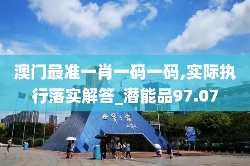 澳门最准一肖一码一码,实际执行落实解答_潜能品97.07