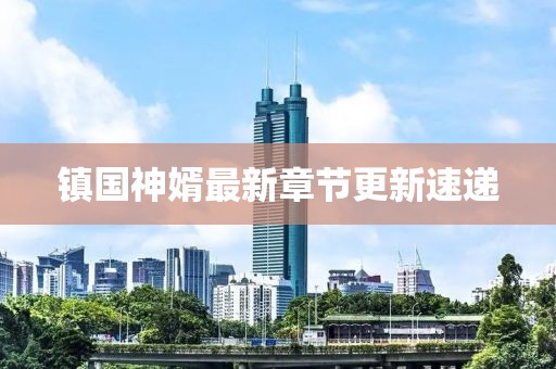 镇国神婿最新章节更新速递