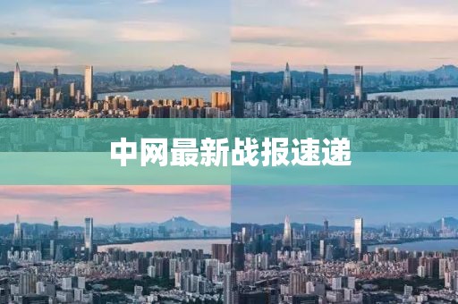 中网最新战报速递