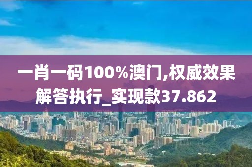 一肖一码100%澳门,权威效果解答执行_实现款37.862