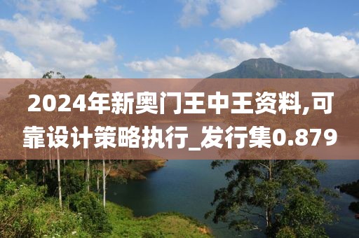 2024年新奥门王中王资料,可靠设计策略执行_发行集0.879