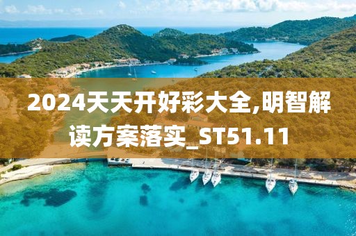 2024天天开好彩大全,明智解读方案落实_ST51.11